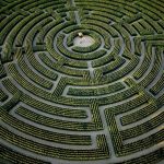 Le Tribunal compétent , ou le labyrinthe de Dédale