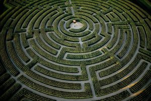 Le Tribunal compétent , ou le labyrinthe de Dédale