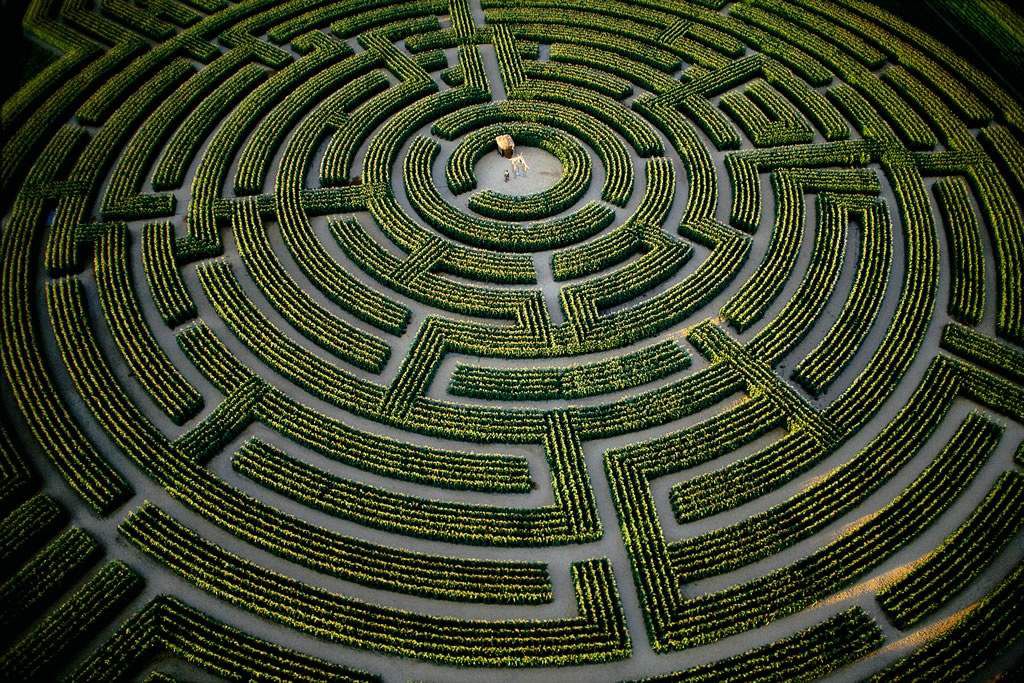 Le Tribunal compétent , ou le labyrinthe de Dédale